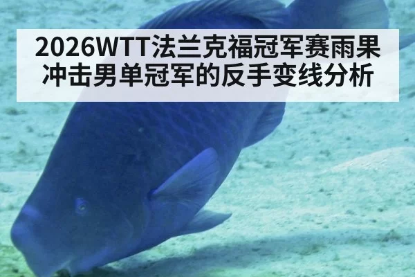 2026WTT法兰克福冠军赛雨果冲击男单冠军的反手变线分析